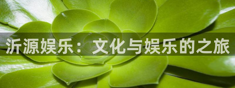 开丰娱乐168：沂源娱乐：文化与娱乐的之旅