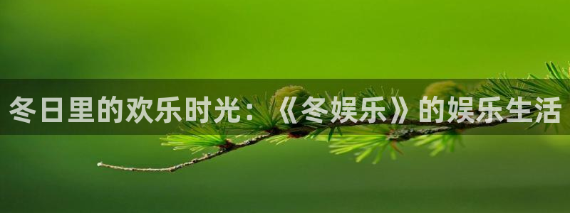 开丰娱乐168：冬日里的欢乐时光：《冬娱乐》的娱乐生活