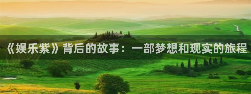 开丰娱乐地址：《娱乐紫》背后的故事：一部梦想和现实的旅程