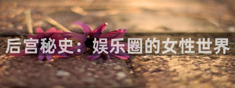 开丰娱乐：后宫秘史：娱乐圈的女性世界