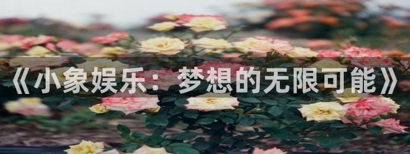 开丰娱乐地址：《小象娱乐：梦想的无限可能》