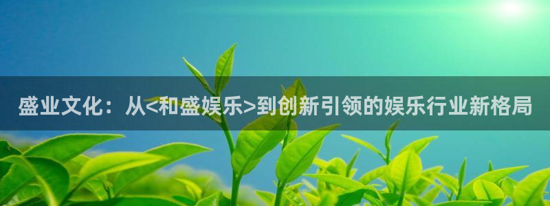 开丰娱乐：盛业文化：从<和盛娱乐>到创新引领的娱乐行业新格局