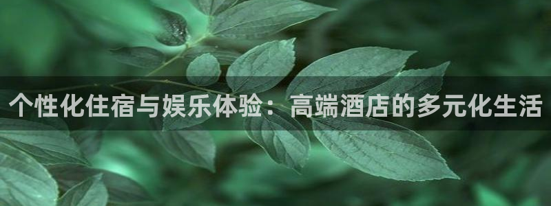 开丰娱乐地址：个性化住宿与娱乐体验：高端酒店的多元化生活