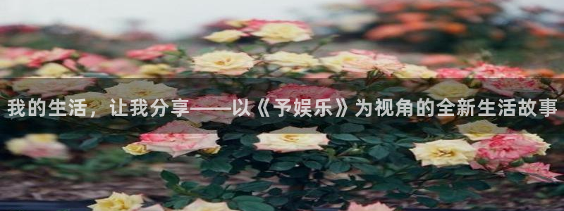 开丰娱乐地址：我的生活，让我分享——以《予娱乐》为视角的全新生活故事