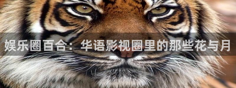 开丰娱乐地址：娱乐圈百合：华语影视圈里的那些花与月