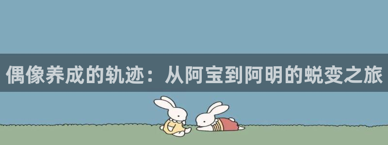 开丰娱乐：偶像养成的轨迹：从阿宝到阿明的蜕变之旅